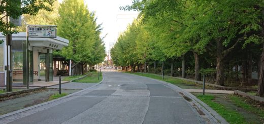 Nakajima park